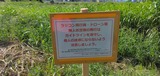 看板