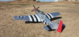 IMG_20250211_094515