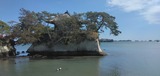 IMG_20240401_125827