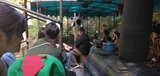 ジャングルクルーズ