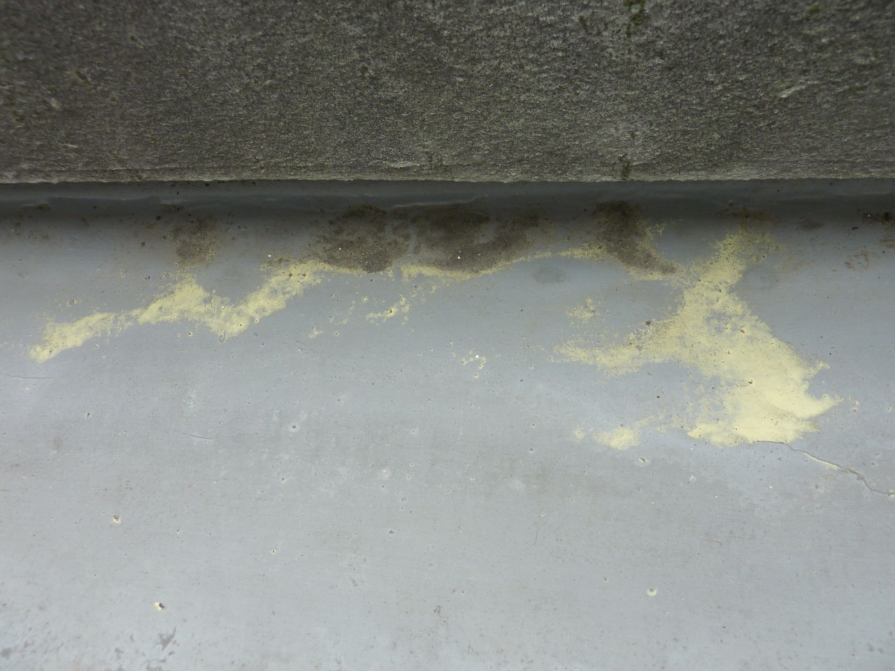 黄色い雨 黄砂 花粉 それとも 長野 Duo Discus Turbo Soaring