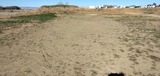 IMG_20250209_092911