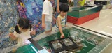 IMG_20240715_120942