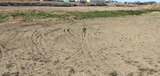 IMG_20250209_092833
