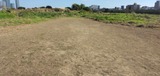 IMG_20241104_142718