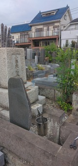 IMG_20240918_151954