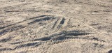 IMG_20250209_093133