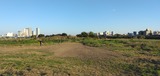 IMG_20241103_154731