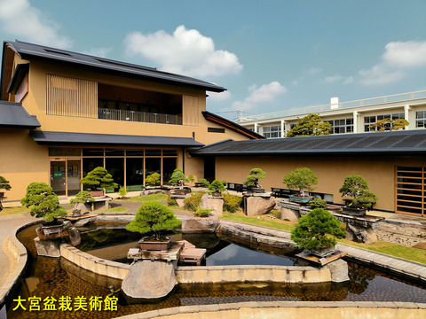 盆栽美術館