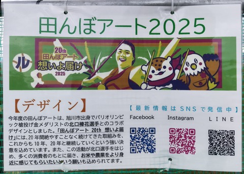 田んぼアートC