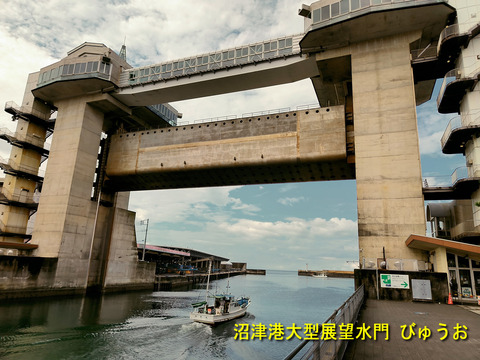 沼津港大型水門