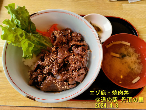 エゾ鹿丼