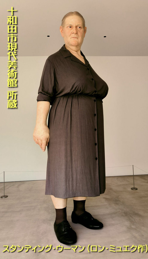 十和田市現代美術館