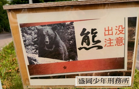 少年刑務所熊