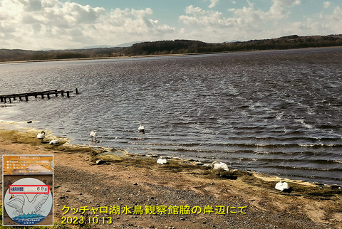 クッチャロ湖