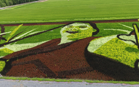 田んぼアートA