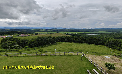 多和平B