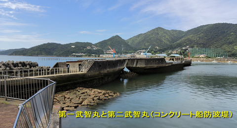 武智丸
