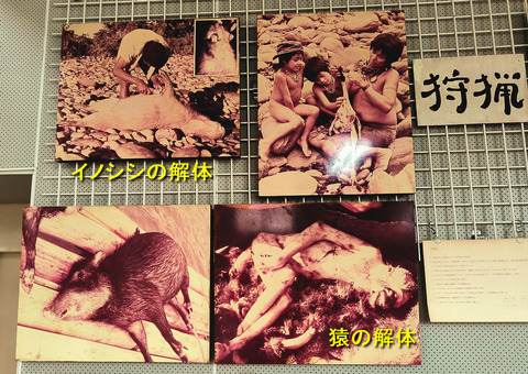 二風谷狩猟