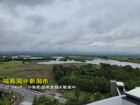 福島潟