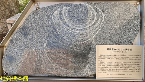 地質標本館