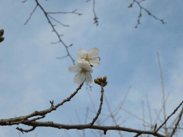 DSCN8157.JPG