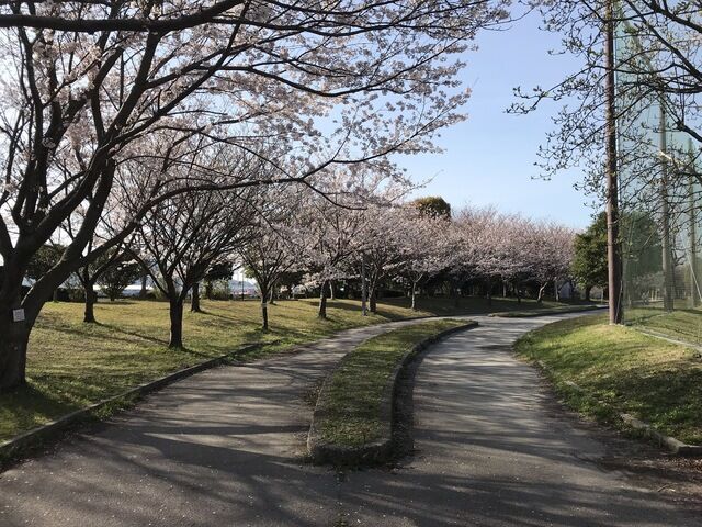 IMG_2465.JPEG