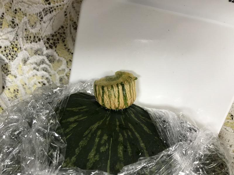 画像を等倍で表示します 画像