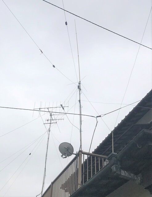 IMG_4029.jpeg