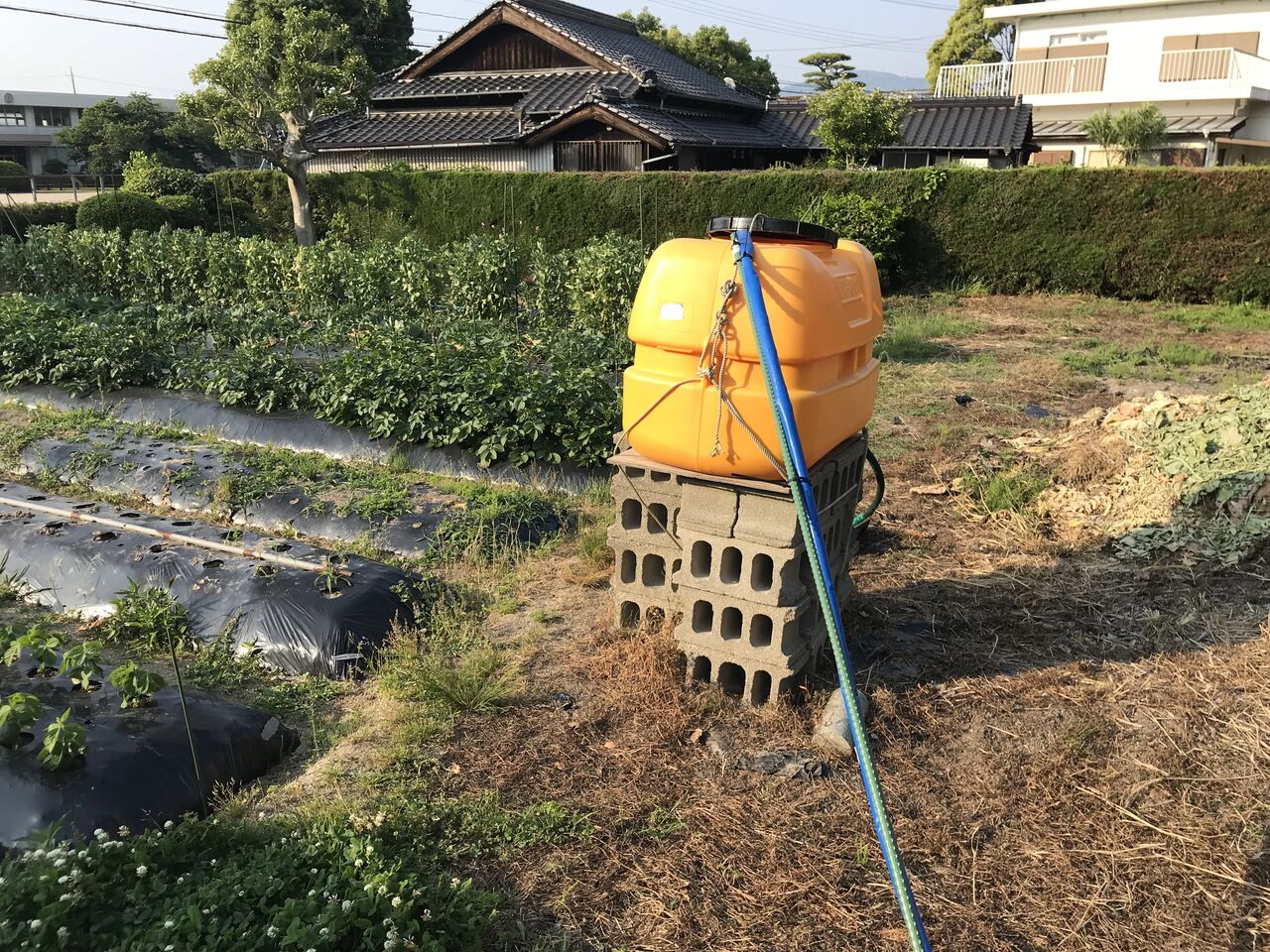 最近の畑の様子 給水タンク ナス支柱設置 金ウリ ラッカセイ植付 向島ポンポコ日記 最近の畑の様子 給水タンク ナス支柱設置 金ウリ ラッカセイ植付 向島ポンポコ日記