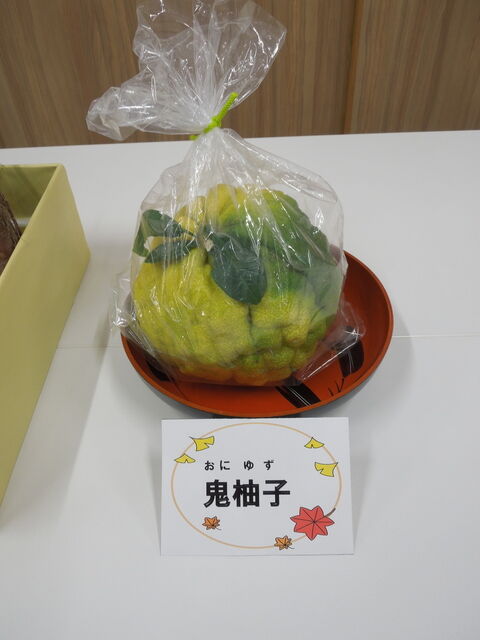 DSCN2177.JPG