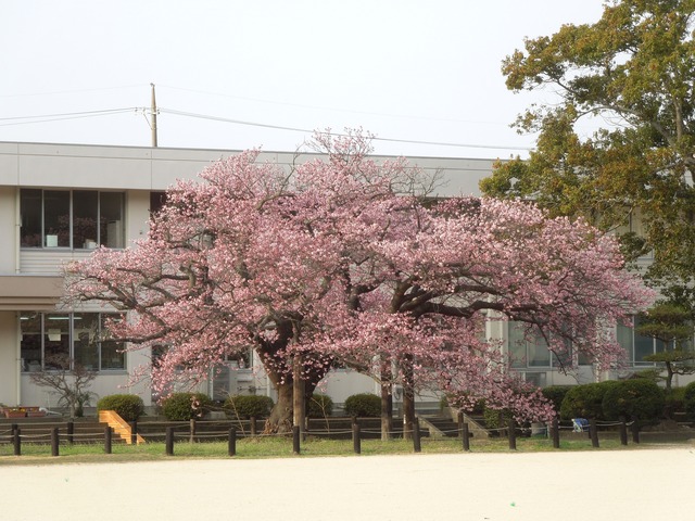 DSCN8463_R