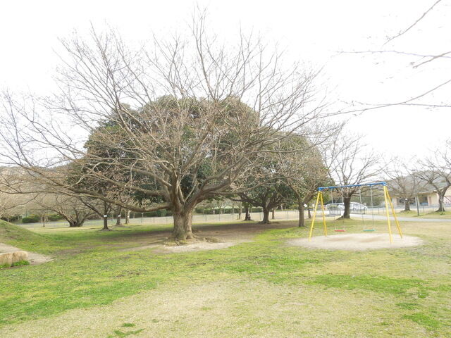 DSCN8166.JPG