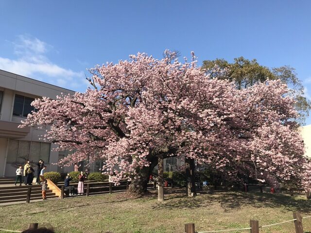 IMG_2073.JPEG