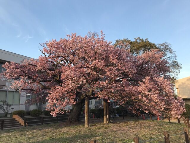 IMG_2134.JPEG