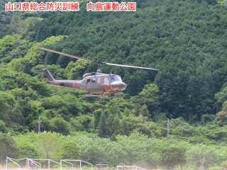 ReceivePic_20250525_102825