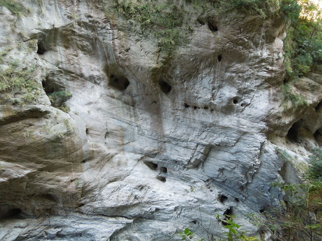 DSCN2264.JPG