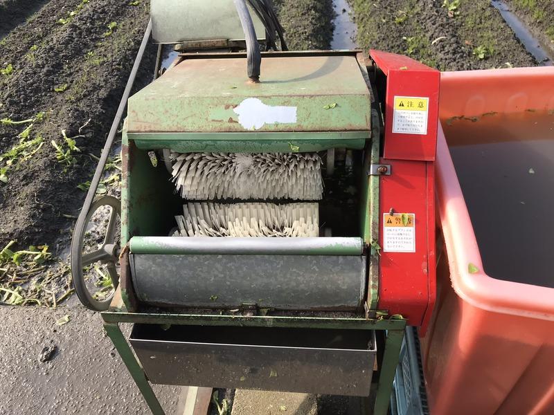 画像を等倍で表示します 画像