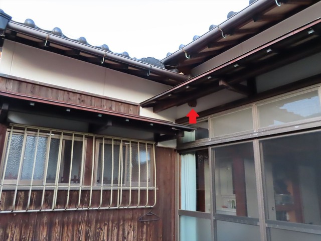 IMG_1076 - コピー_R