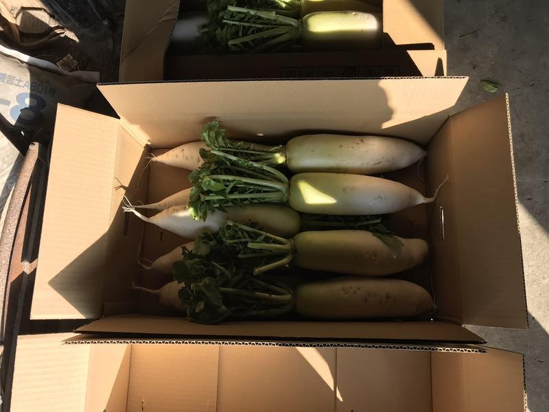 画像を等倍で表示します 画像