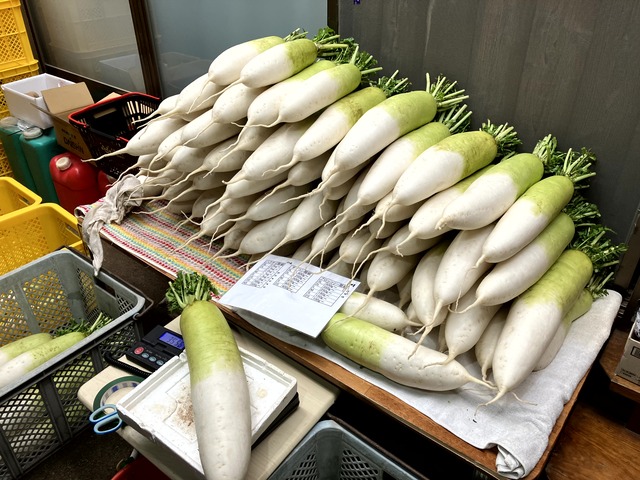 IMG_5056