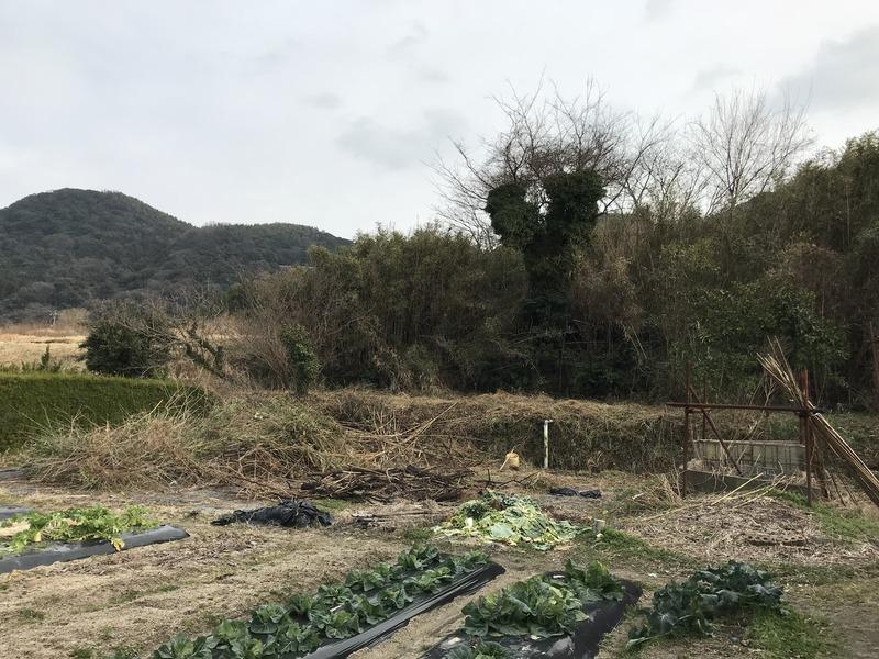 画像を等倍で表示します 画像