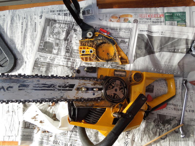 画像を等倍で表示します 画像