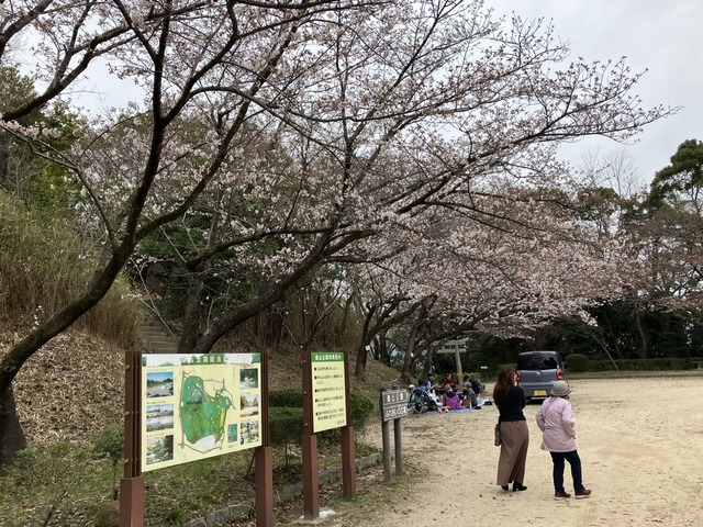 IMG_5698