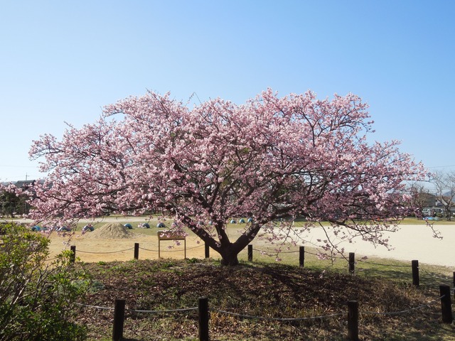 DSCN8470_R