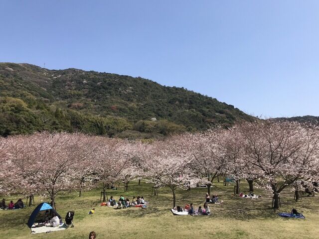 IMG_2424.JPEG