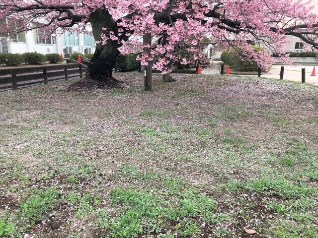 IMG_2093.JPEG