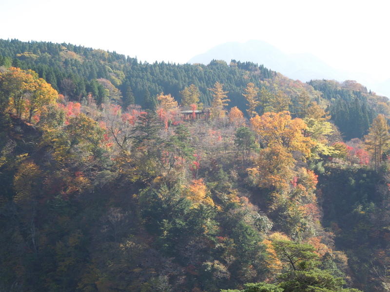画像を等倍で表示します 画像