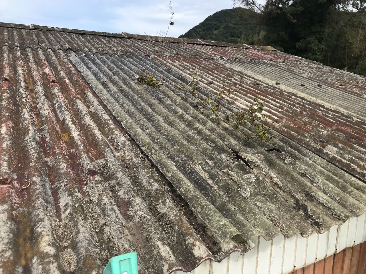 流行り の ブランド  倉庫屋根修理 波型スレート交換 : 向島ポンポコ日記 その他