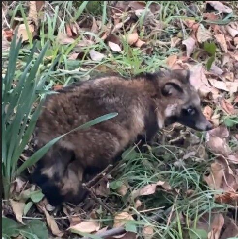 スクリーンショット 2026-01-09 101638